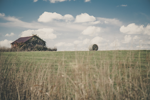 Abandoned House on the Prairie by Allin Sorenson Abandoned House on the Prairie by Allin Sorenson